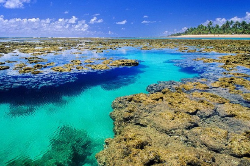 Barra Grande no Nordeste