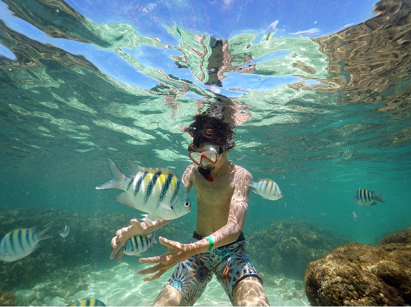 Mergulhando nas piscinas naturais de Maragogi Mergulhando nas piscinas naturais de Maragogi