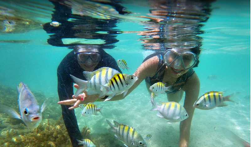 Mergulho e diversão Mergulho e diversão