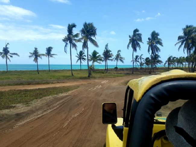 Buggy em Porto de Galinhas Buggy em Porto de Galinhas