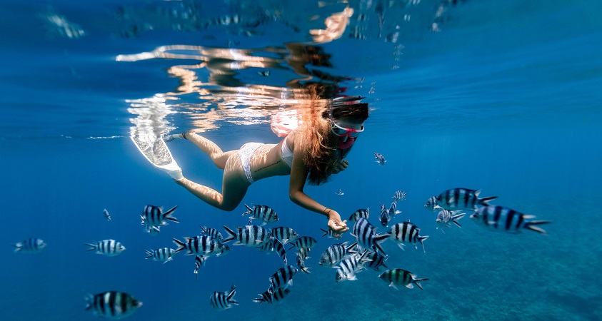 Mergulho de snorkel para ver os peixes Mergulho de snorkel para ver os peixes