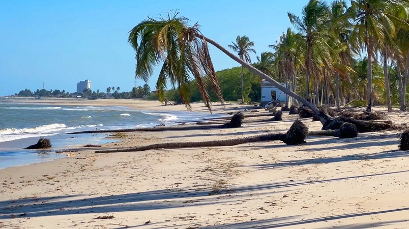 Praia de Gravatá nas proximidades de Porto de Galinhas Praia de Gravatá nas proximidades de Porto de Galinhas