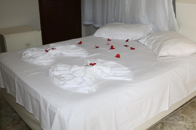 Pousada Flor Dália em Natal: Quarto Pousada Flor Dália em Natal: Quarto